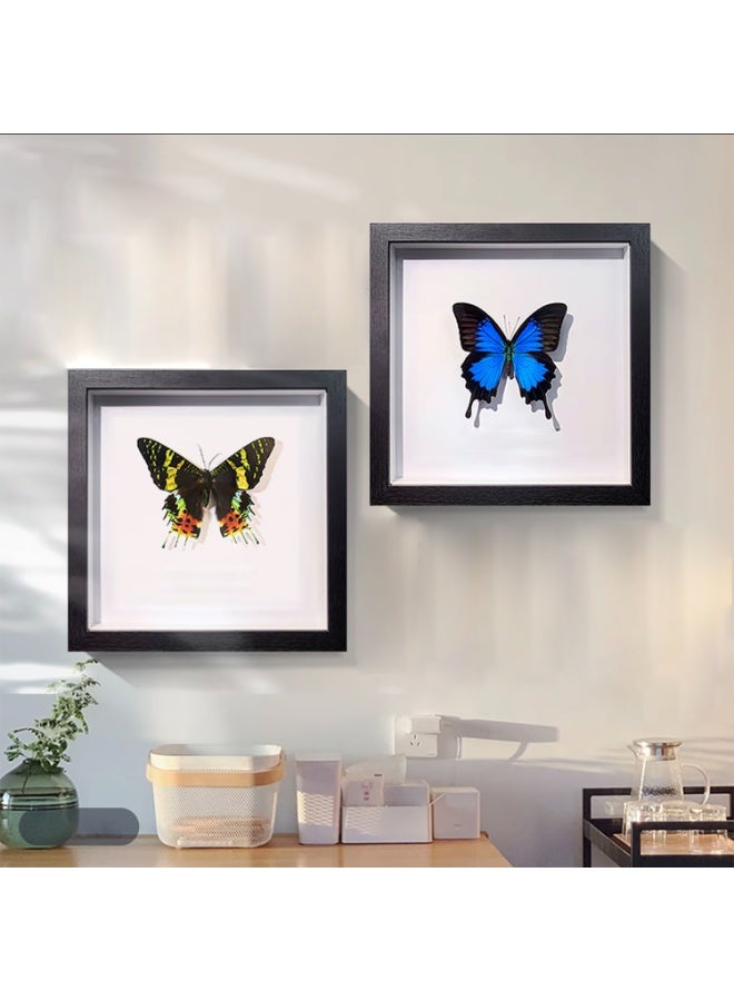 10x10'' Shadow Box Frame Display Case, 2 Pack Shadow Box Picture Frame, 3D Picture Frame Display Case Deeper 3cm, for Tickets, Photos, Medals, DIY Crafts, Wedding Souvenir (Black 10x10) - Image 2